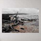 Poster Forces naturelles du lac Tyrrell (Devant)