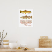 Poster forel (Keuken)