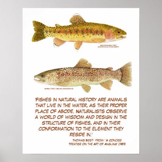 Poster forel (Voorkant)