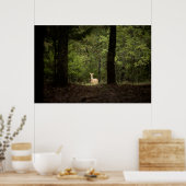 Poster Forest | A White Tailed Deer in the Woods (Cuisine)