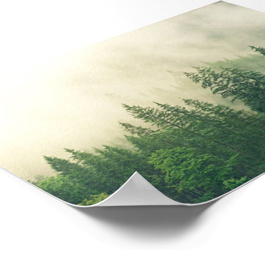 poster Forest, big forest (Coin)