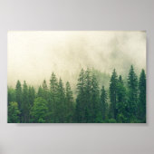 poster Forest, big forest (Devant)