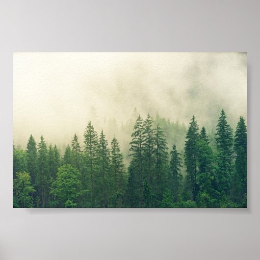 poster Forest, big forest (Devant)