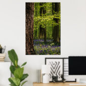 Poster Forest | Bluebells en Belgique (Bureau à domicile)