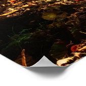 Poster Forest Creek Belle nature Paysage Photo (Coin)