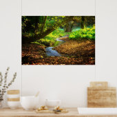 Poster Forest Creek Belle nature Paysage Photo (Cuisine)