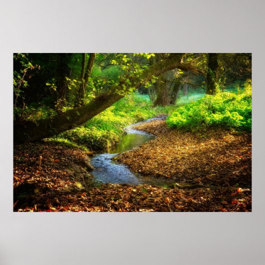 Poster Forest Creek Belle nature Paysage Photo (Devant)