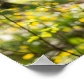 Poster Forest Deer (Coin)