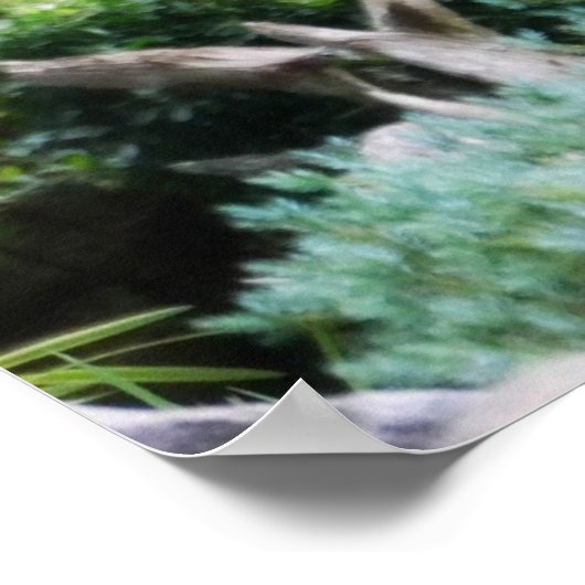 Poster Forest Deer (Coin)