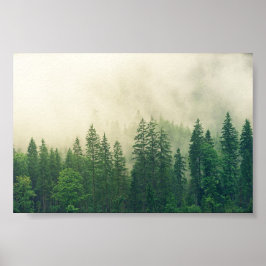 poster Forest, groot bos