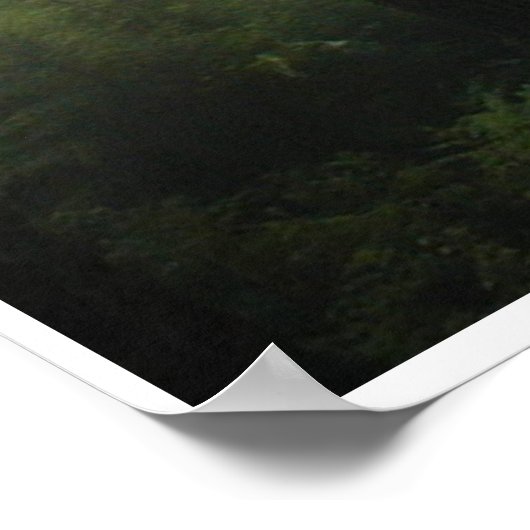 Poster "FOREST MIST" Forêt sauvage Imprimer (Coin)