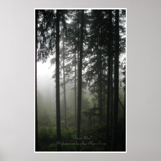 Poster "FOREST MIST" Forêt sauvage Imprimer (Devant)