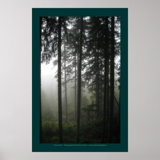 Poster "FOREST MIST" Forêt sauvage Imprimer (Devant)