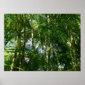 Poster Forest of Palm Trees Tropical Nature (Devant)