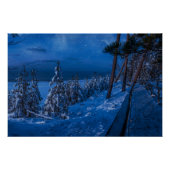 Poster Forest path at winter night (Devant)