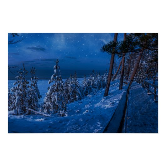 Poster Forest path at winter night (Devant)
