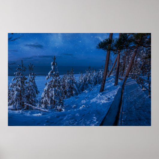 Poster Forest path at winter night (Devant)