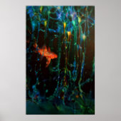 Poster "Forest" Sarah Doherty 2008 (Devant)