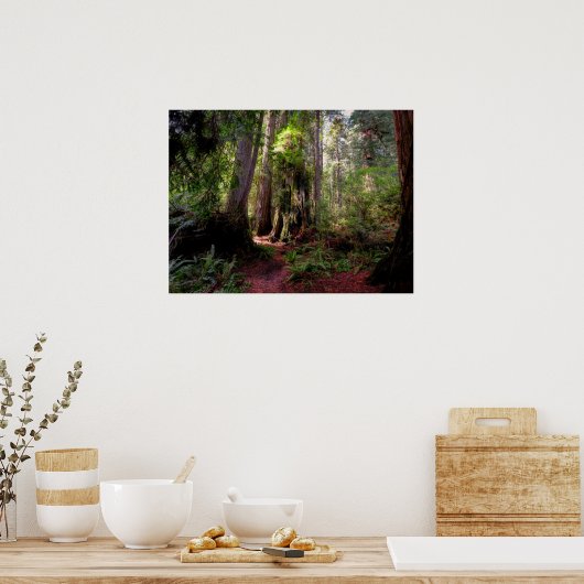 Poster Forest | Séquwood Forest California (Cuisine)