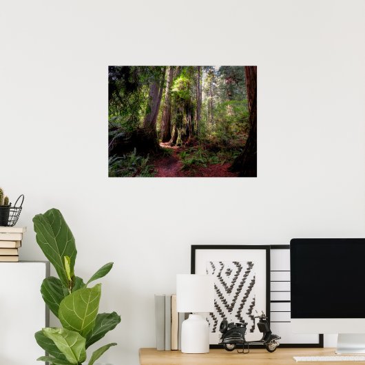 Poster Forest | Séquwood Forest California (Bureau à domicile)
