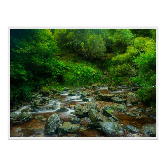 Poster Forest Stream in Lush Woodland (Dargle River) (Devant)