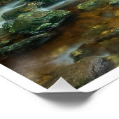 Poster Forest Stream in Lush Woodland (Dargle River) (Coin)