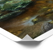 Poster Forest Stream in Lush Woodland (Dargle River) (Coin)