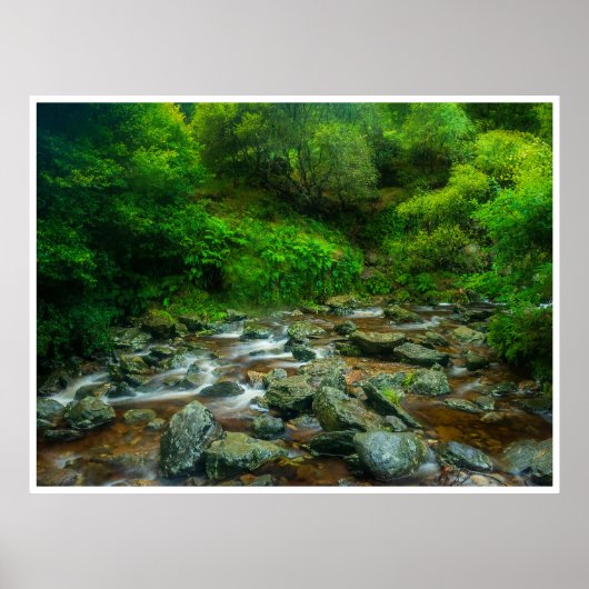 Poster Forest Stream in Lush Woodland (Dargle River) (Devant)