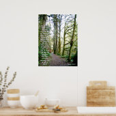 Poster Forest Trail Isaiah 41:10 Imprimer (Cuisine)