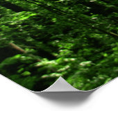 Poster forestier #6182 (Coin)