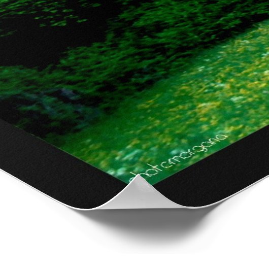 Poster Forêt (Coin)