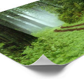Poster Forêt (Coin)
