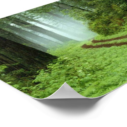 Poster Forêt (Coin)