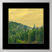 Poster Forêt (Devant)