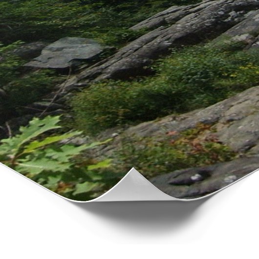 Poster Forêt (Coin)
