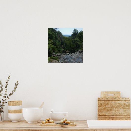 Poster Forêt (Cuisine)
