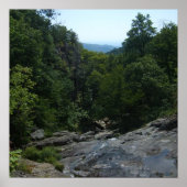 Poster Forêt (Devant)