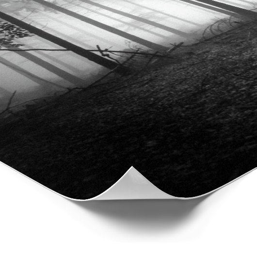 Poster forêt (Coin)