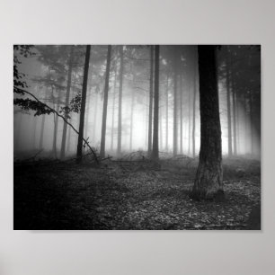 Poster forêt