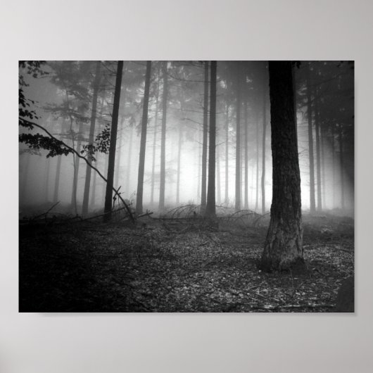 Poster forêt (Devant)