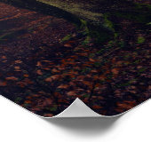 Poster Forêt (Coin)