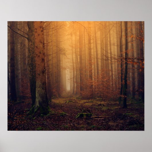 Poster Forêt (Devant)