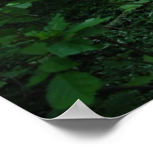 Poster Forêt3 (Coin)