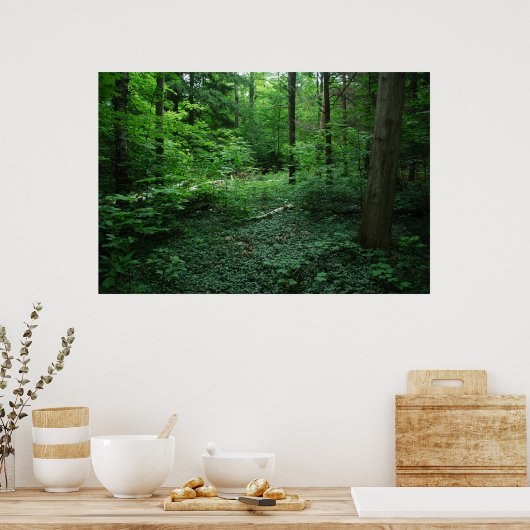 Poster Forêt3 (Cuisine)