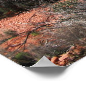 Poster Forêt à Cathedral Rock (Coin)