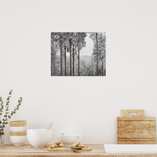 Poster Forêt à feuillage persistant en hiver (Cuisine)