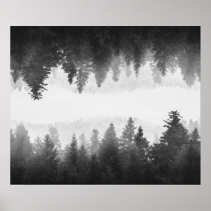 Poster Forêt à miroir brun et blanc