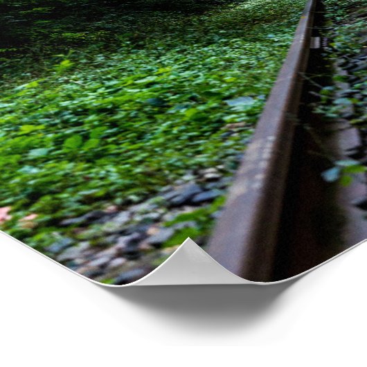 Poster forêt abandonnée avec voie ferrée (Coin)
