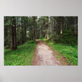 Poster forêt alpine (Devant)