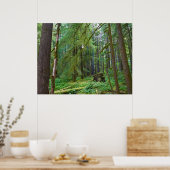 Poster Forêt ancienne (Cuisine)
